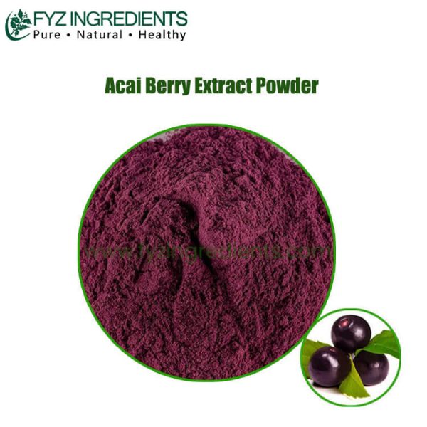 acai berry extract powder