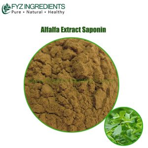 alfalfa extract saponin