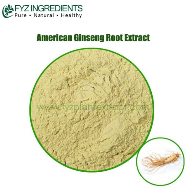 american ginseng root extract