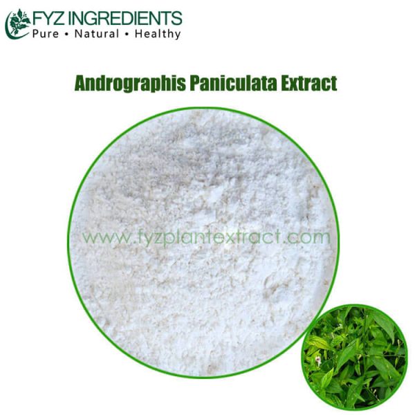 andrographis paniculata extract
