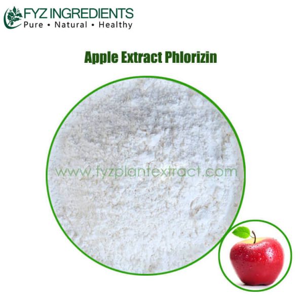 apple extract phlorizin