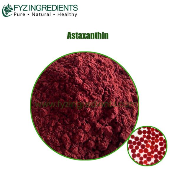 Natural Astaxanthin Powder