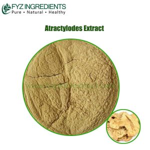 atractylodes extract