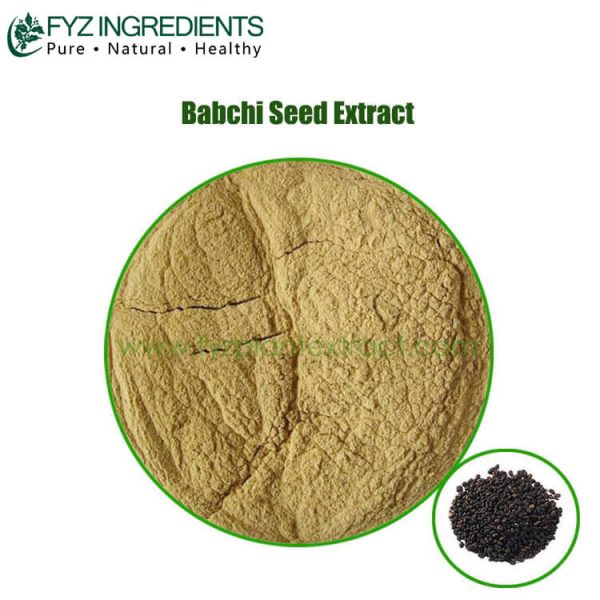 babchi seed extract