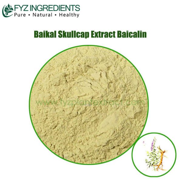 baikal skullcap extract baicalin