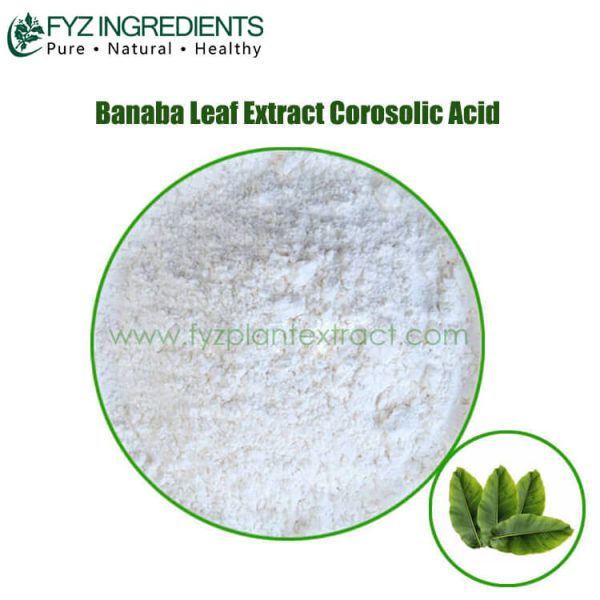 banaba leaf extract corosolic acid