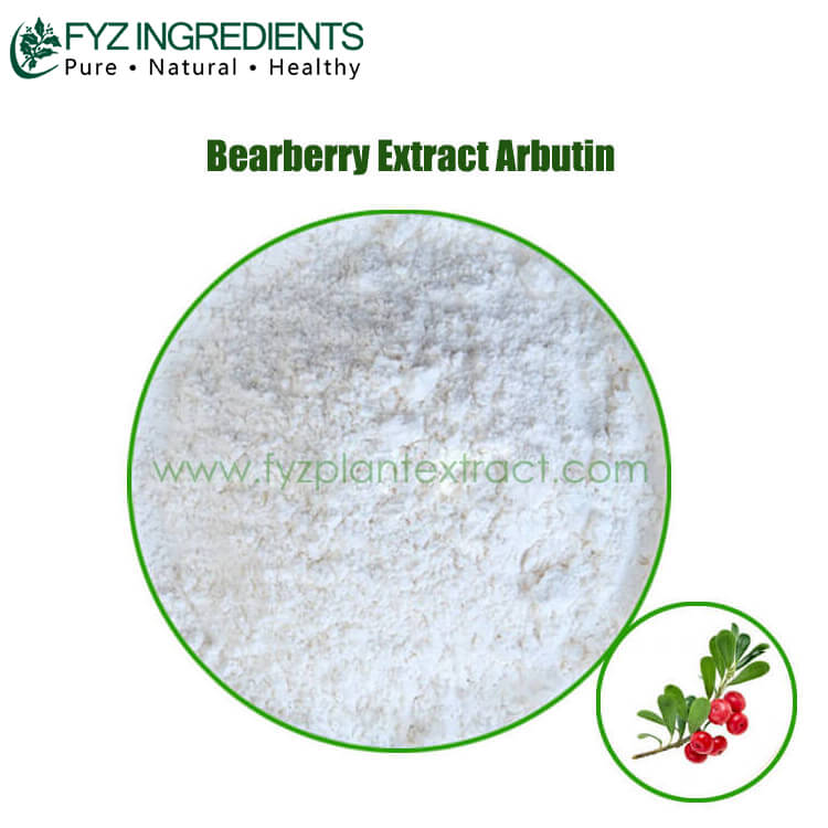 bearberry extract arbutin