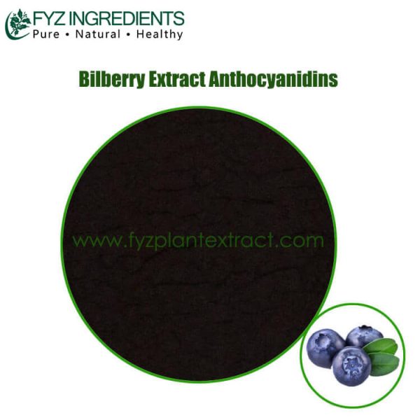 bilberry extract anthocyanidins