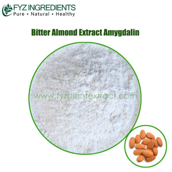 bitter almond extract amygdalin