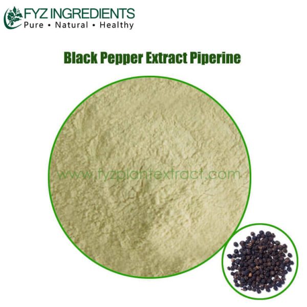 black pepper extract piperine