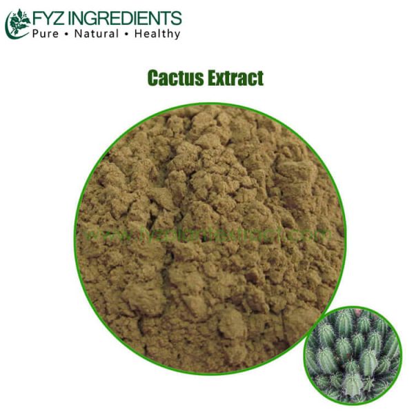 cactus extract