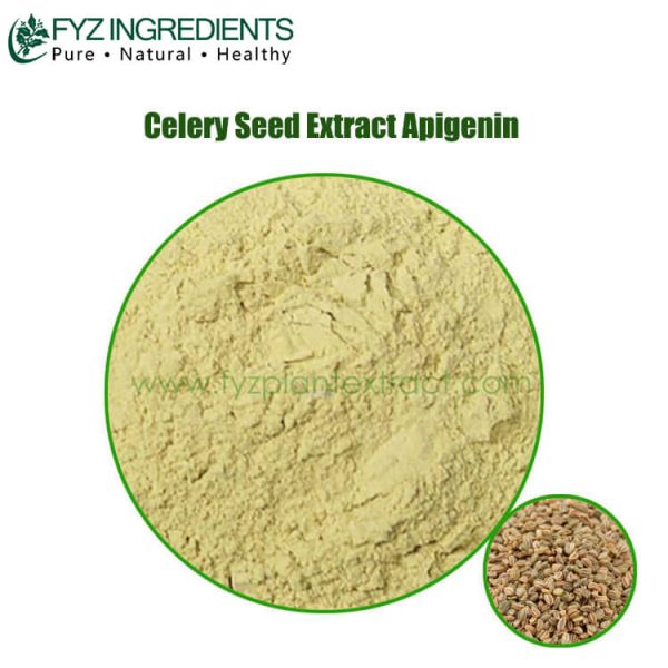 celery seed extract apigenin