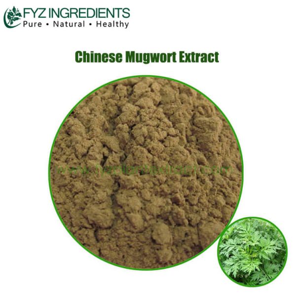 chinese mugwort extract