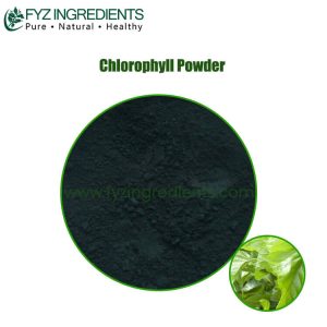 chlorophyll powder