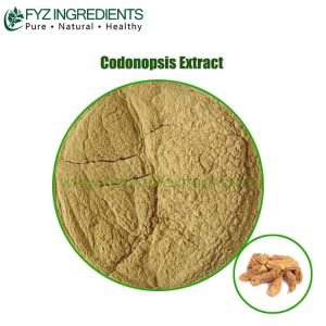 codonopsis extract