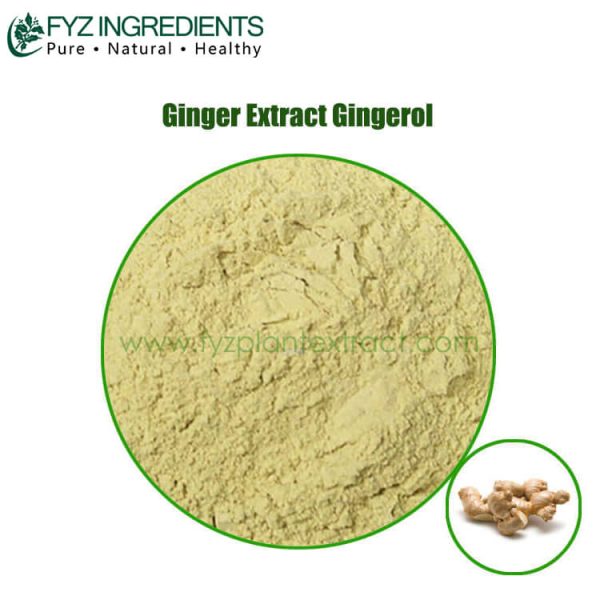 ginger extract gingerol