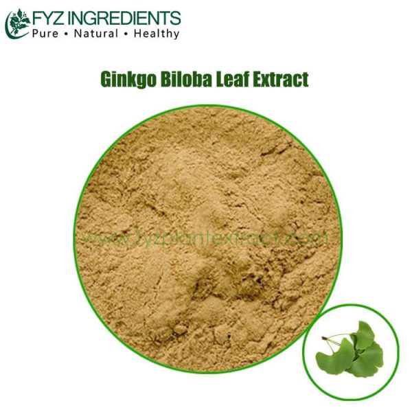 ginkgo biloba leaf extract