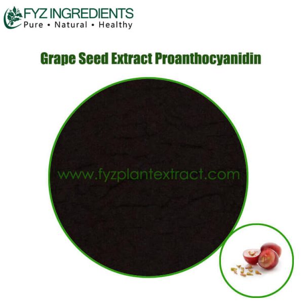 grape seed extract proanthocyanidin