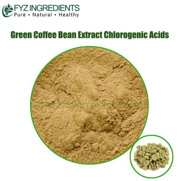 green coffee bean extract chlorogenic acids