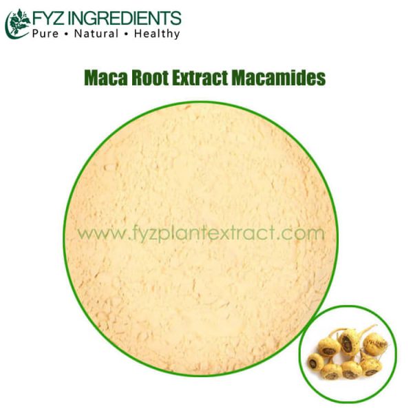 maca root extract macamides