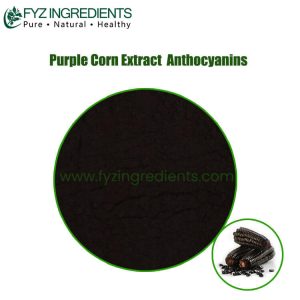 purple corn extract anthocyanins