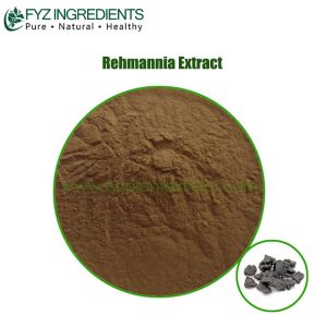 rehmannia extract