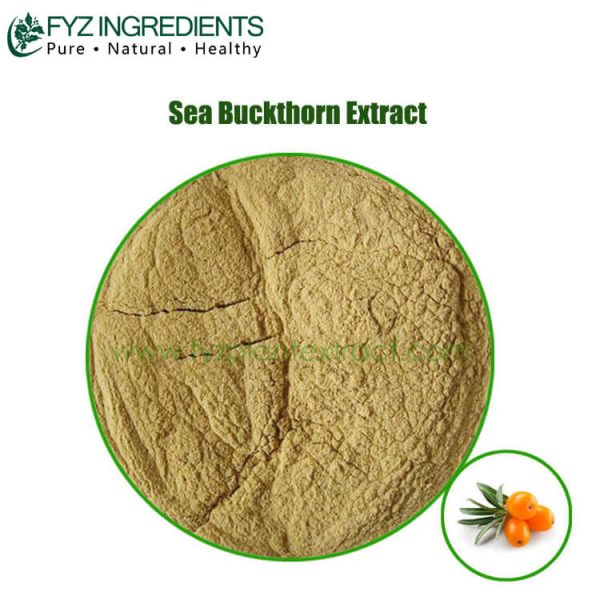 sea buckthorn extract