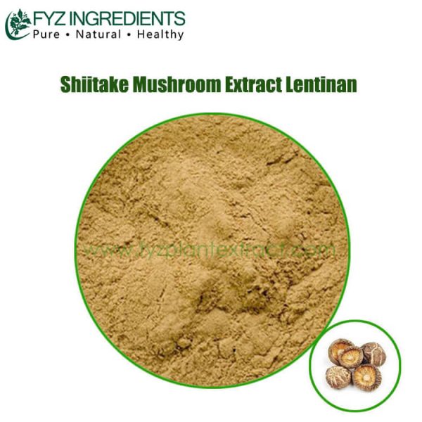 shiitake mushroom extract lentinan