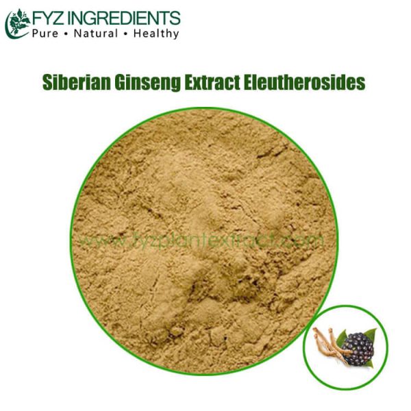 siberian ginseng extract eleutherosides