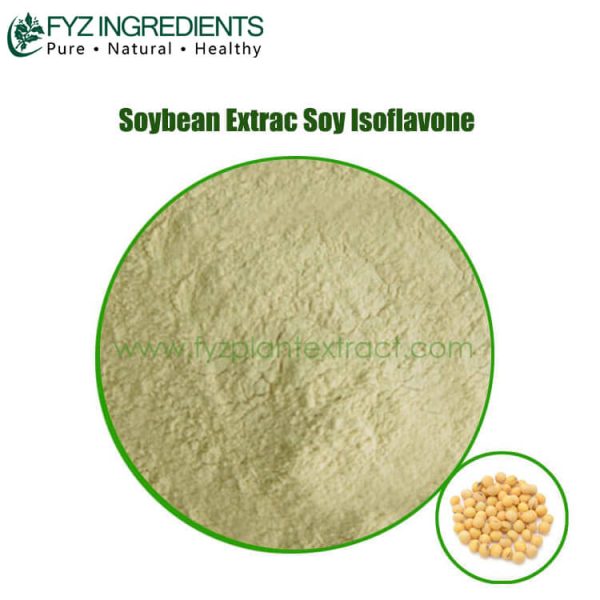 soybean extrac soy isoflavone