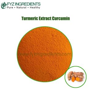 turmeric extract curcumin