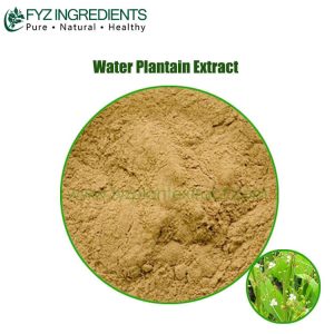 water plantain extract