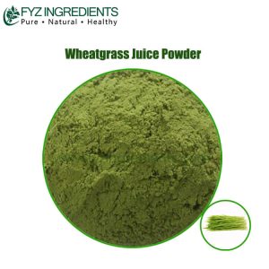 wheatgrass juice powder